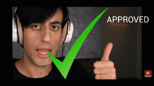 Guy Say Approved GIF