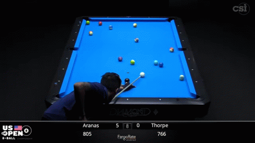 Aranas And Thorpe Are Playing A Pool Game GIF