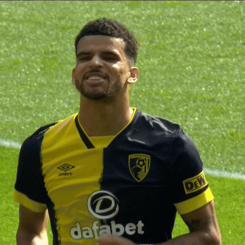 Archery Stance Dominic Solanke GIF