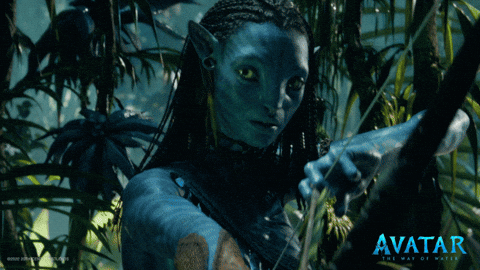 Archery Target Neytiri Avatar Movie GIF