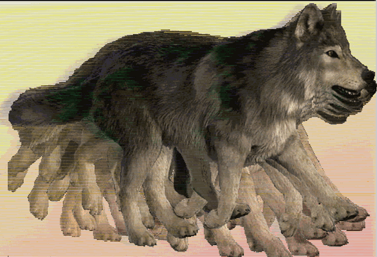Arctic Wolf Art GIF