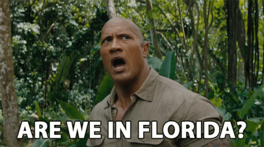 Are We In Florida Jumanji GIF