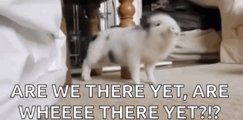 Piglet Dancing And Asking Are We There Yet GIF