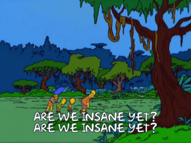 Are We There Yet Or We Insane Yet GIF