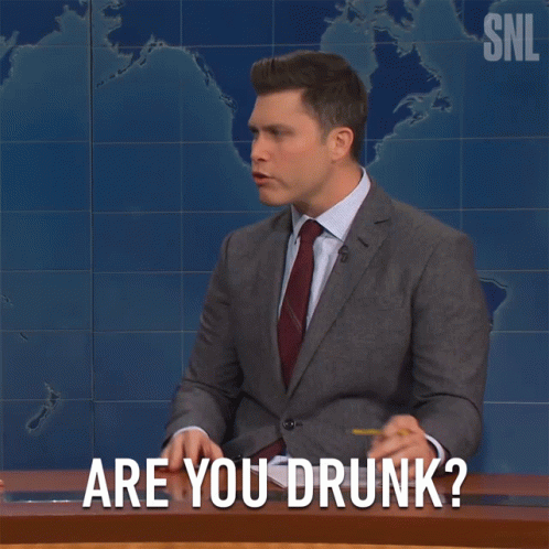 Are You Drunk Reporter Meme GIF