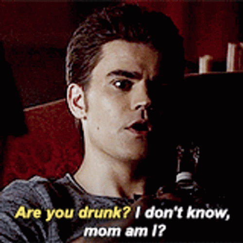 Are You Drunk Stefan Salvatore GIF