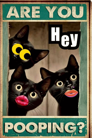 Are You Hey Pooping Poster with Three Black Cats