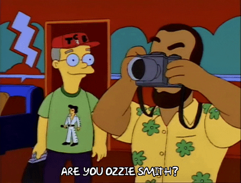 Are You Ozzie Smith The Simpsons GIF | GIFDB.com