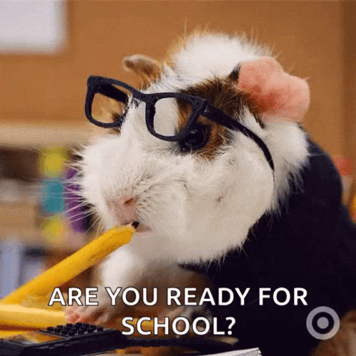 Are You Ready For Back To School GIF