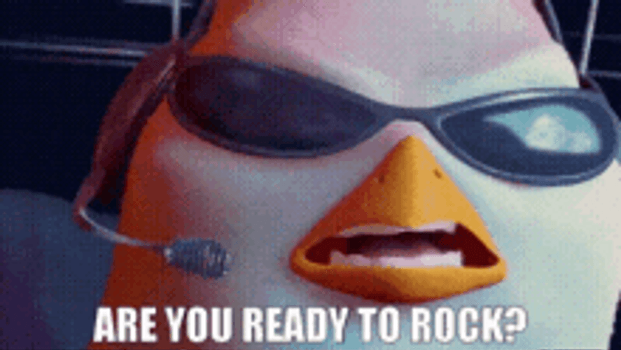 Are You Ready To Rock Bird Animation GIF 