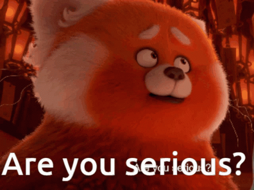 Are You Serious Cute Red Panda GIF