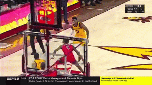 Arizon State Sun Old Yeller GIF