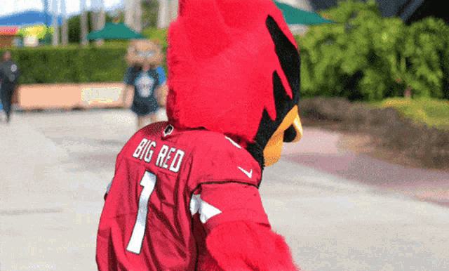 Arizona Cardinals Gif GIF