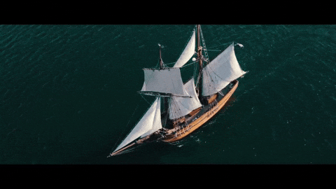 Ark Pirate Ship Sailing At Sea GIF