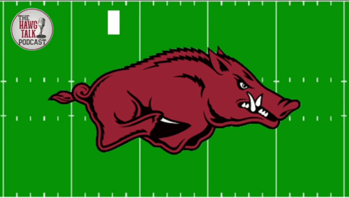 Arkansas Razorback Logo on Football Field