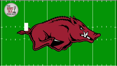 Arkansas Razorback Logo on Football Field