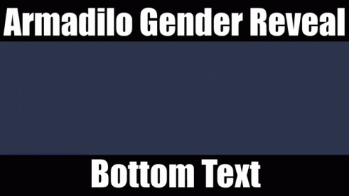 Armadilo Gender Reveal Bottom Text With A Picture Of A Cube GIF