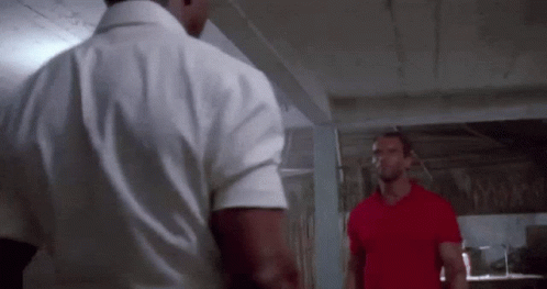 Arnold Schwarzenegger Hand Fight GIF