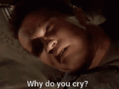 Arnold Schwarzenegger Why Do You Cry GIF
