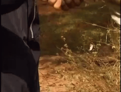 Arnold Handshake Black And White Races GIF