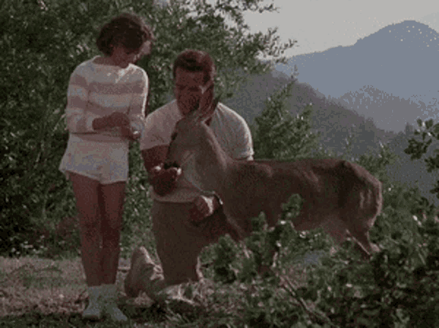 Arnold Schwarzenegger Feeding Deer GIF