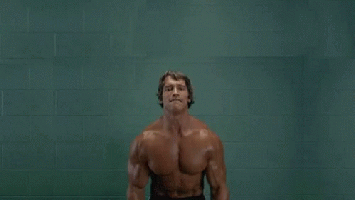 Arnold Schwarzenegger Holding Two Cats GIF