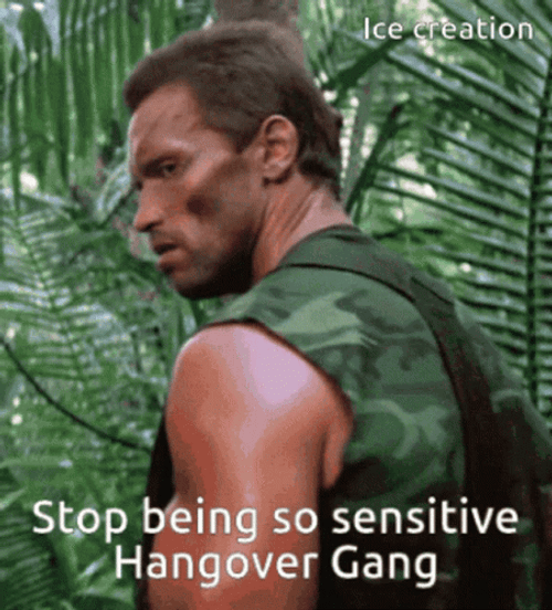 Arnold Schwarzenegger In Terminator Movie GIF