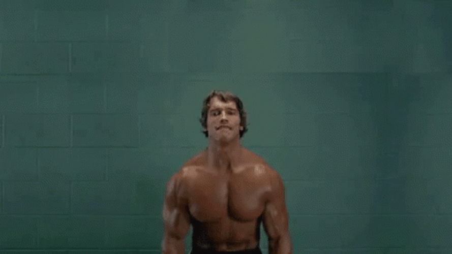 Arnold Schwarzenegger Kitty Dumbbells GIF
