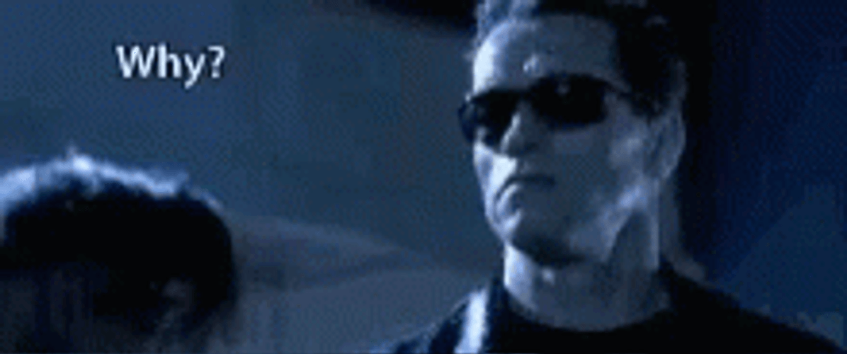 Arnold Schwarzenegger Why GIF