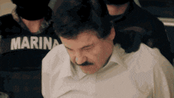 Arresting El Chapo GIF