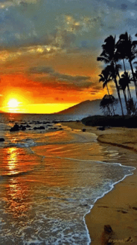 Arsenal Sunset Beach GIF