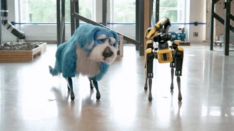 Artificial Intelligence Robot And Dog Dancing GIF