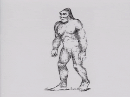 Artistic Bigfoot Sasquatch Drawing GIF
