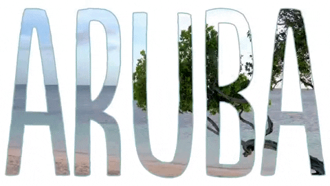 Aruba Beach Travel Vacation GIF