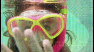 Aruba Snorkeling Sea Adventure GIF