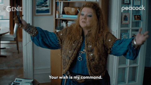 As You Wish Melissa Mccarthy GIF