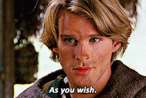 As You Wish Young Cary Elwes GIF
