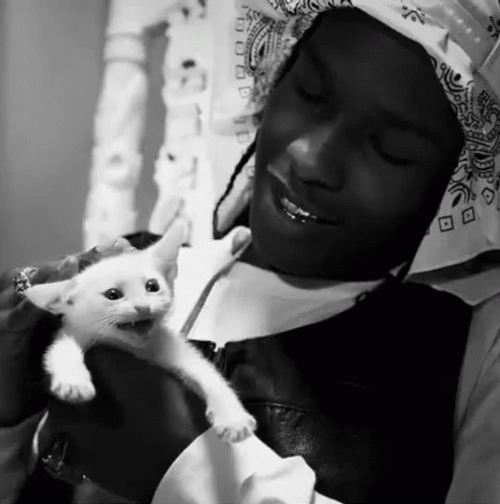 Asap Rocky Head Patting Kitten GIF