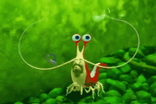 I'm Ashamed Green Shrimp GIF