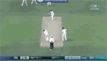 Ashes Cricket Gif GIF