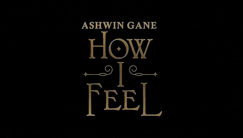 Ashwin Gane How I Feel Poster With Birds Flying GIF