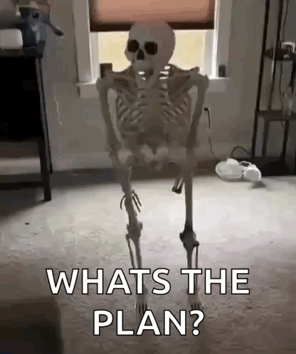 Asking For Plan Skeleton Passing Out Funny Meme GIF