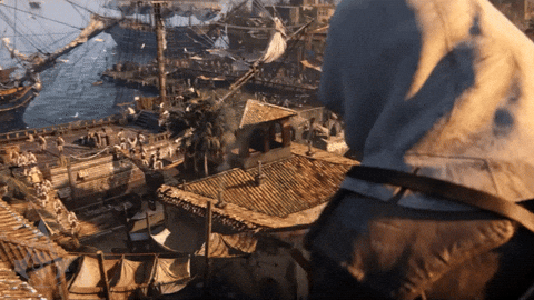 Assassins Creed Black Flag Survey GIF