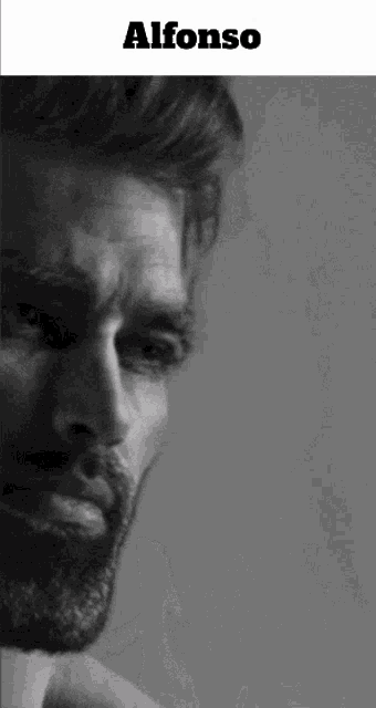 Astolfo Chad Gif GIF