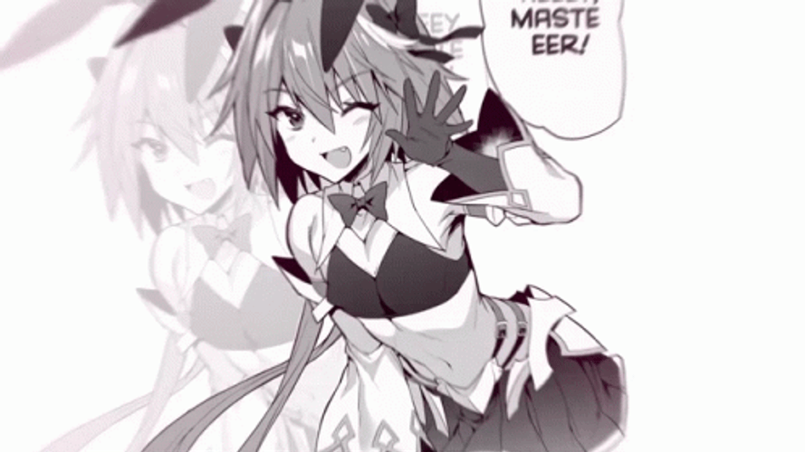 Astolfo Monotone Image Selection GIF