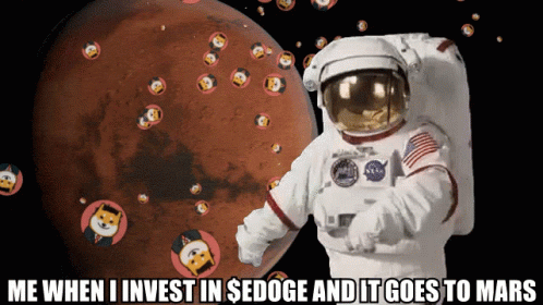Astronaut Me When I Invest in Sedge and It Goes to Mars
