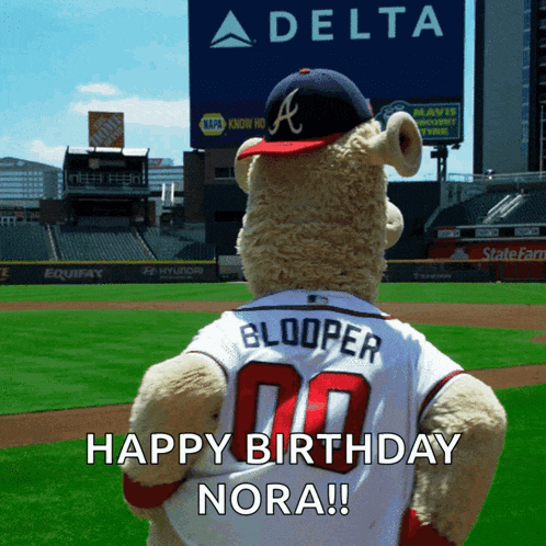 Atlanta Braves Blooper Gif GIF
