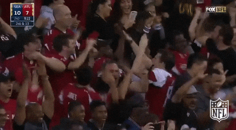Atlanta Falcons Fans Going Wild In Crowd GIF