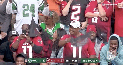 Atlanta Falcons Loved By Supporters GIF