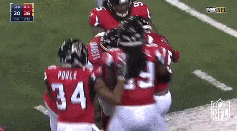 Atlanta Falcons Pride Of Georgia GIF